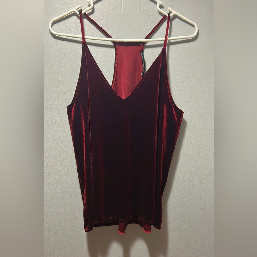 Originally Abercrombie and Fitch velvet tanks